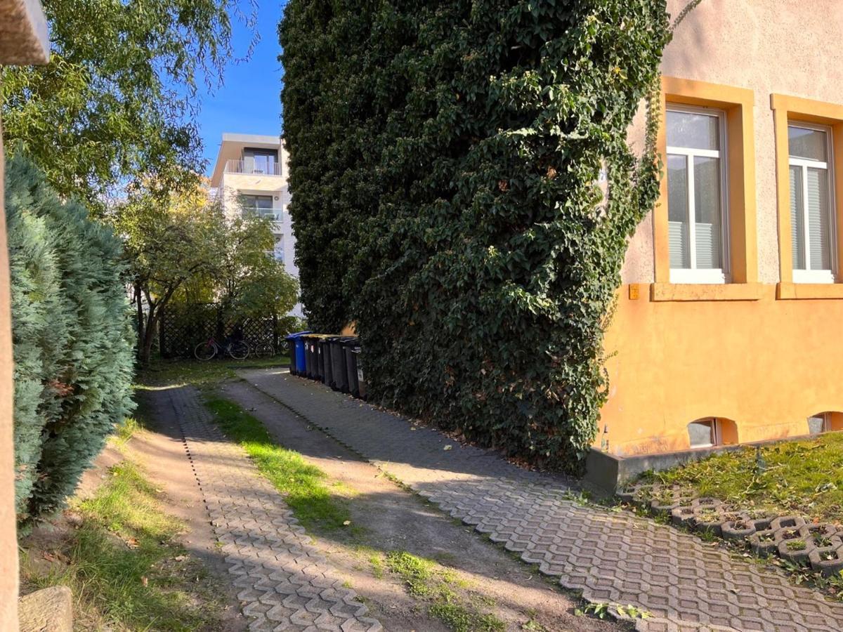 Gemutliche Oase - Tv, Beamer, Kuche Fur 4 Personen Apartment Дрезден Екстериор снимка